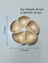 5 Bölmeli Masif Kayın Ahşap Çerezlik & Kahvaltılık Sunumluk – El Yapımı Doğal Ahşap Servis Tabağı 215 mm 5 Bölmeli Masif Kayın Ahşap Çerezlik & Kahvaltılık Sunumluk – El Yapımı Doğal Ahşap Servis Tabağı 215 mm